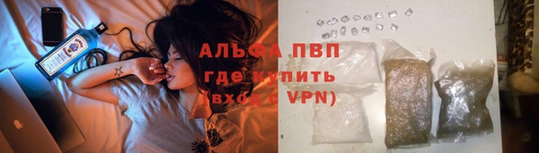 герыч Каменногорск