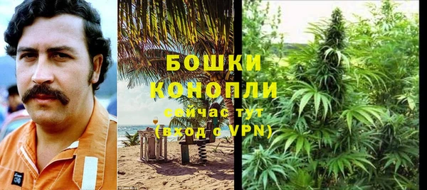 дмт Арсеньев