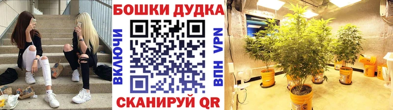 дарк нет телеграм  Таруса  Шишки марихуана Amnesia 